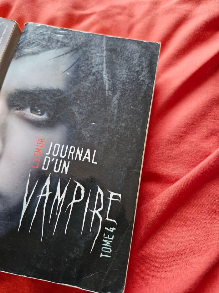 Vampire Diaries les livres de la saga - photo numéro 9