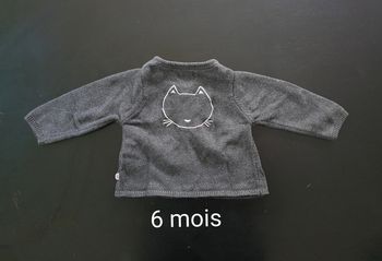 Gilet chat