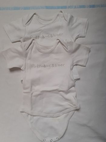 Lot de 2 bodys blancs manches courtes