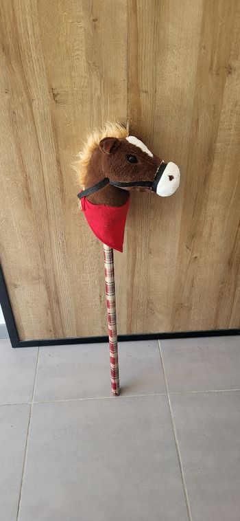 Tête de cheval 