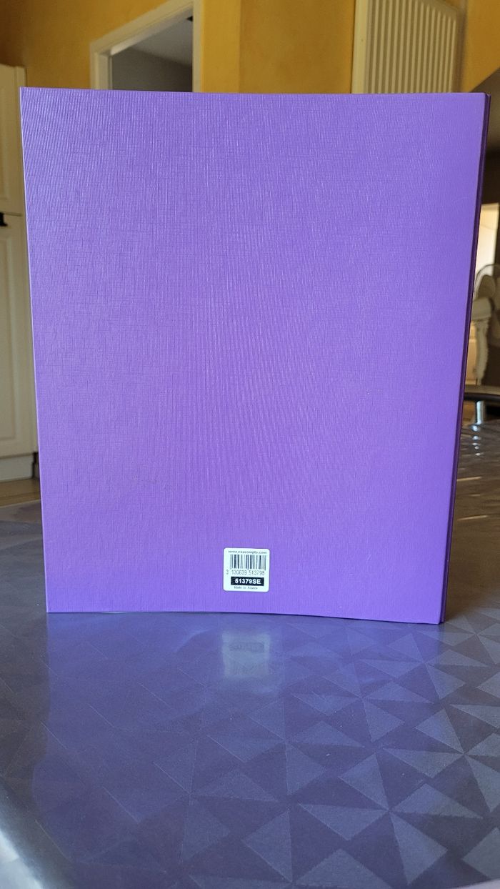 Classeur exacompta violet - photo numéro 3