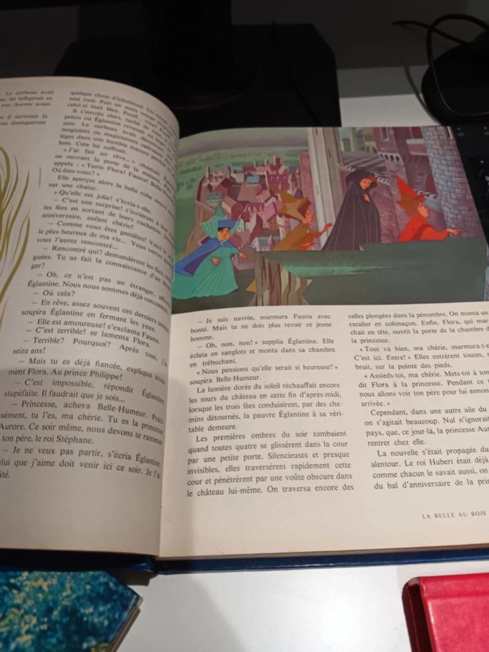Lot 3 livres vintage Disney Le monde enchanté de Walt Disney 256 page chacun dépôt légal 1978 - photo numéro 6