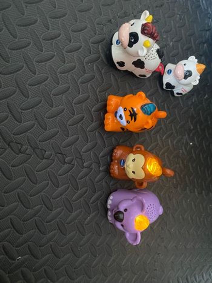 Tut tut animo - photo numéro 6