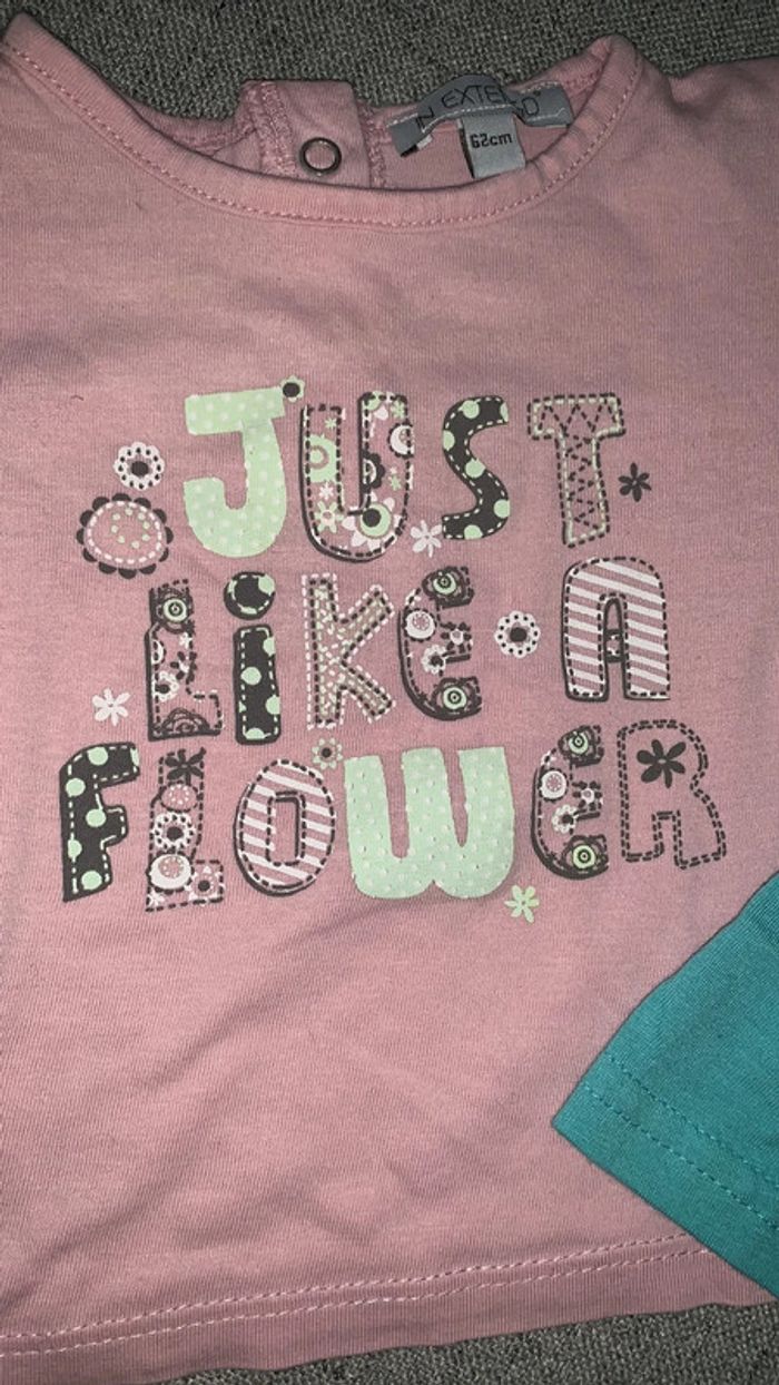 Lot t-shirts bébé fille 3m - photo numéro 3