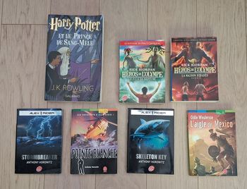 Lot de romans pour jeunes adolescents - Harry Potter  - Alex Rider - Percy Jackson