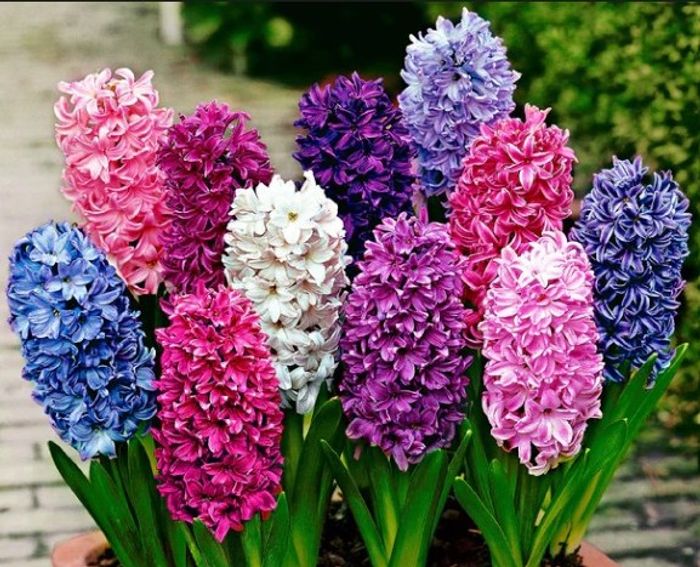 Couverture bébé "JACYNTHE" fait main au crochet - photo numéro 5