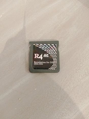 R4 pour Nintendo DS