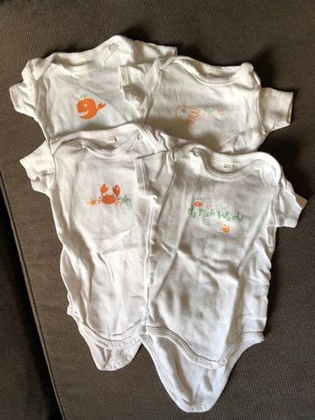 Lot de 4 bodies 12m