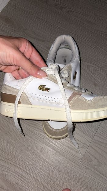 Basket Lacoste