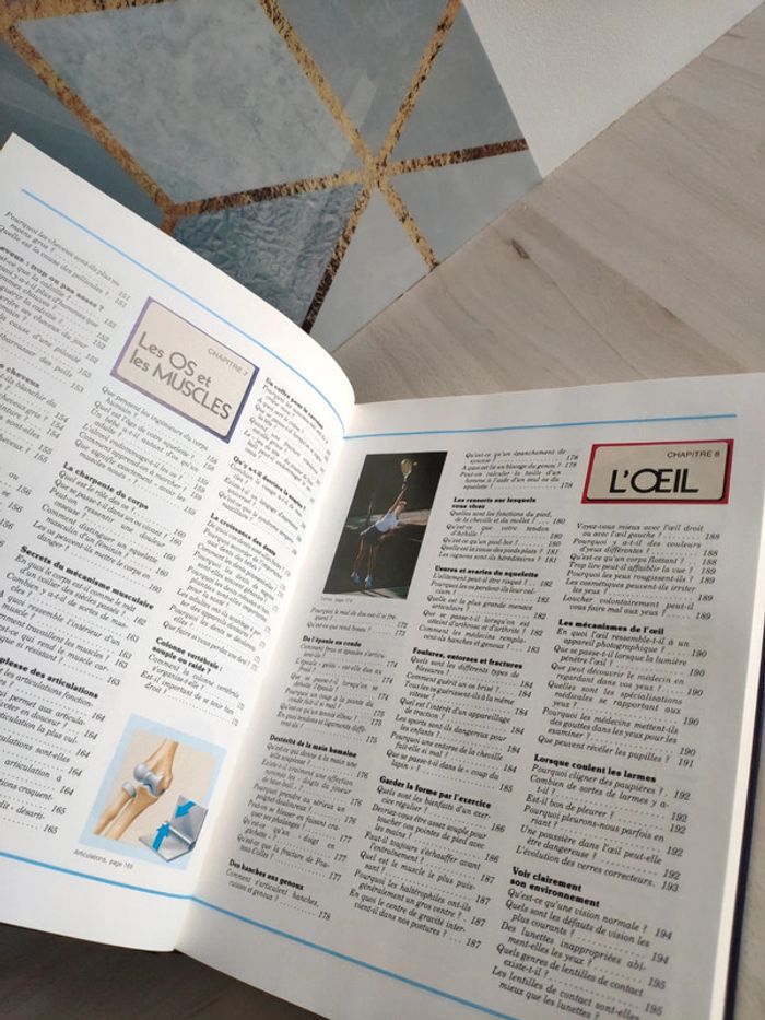 Livre grand format merveilles et secrets du corps humain questions réponses famille - photo numéro 12