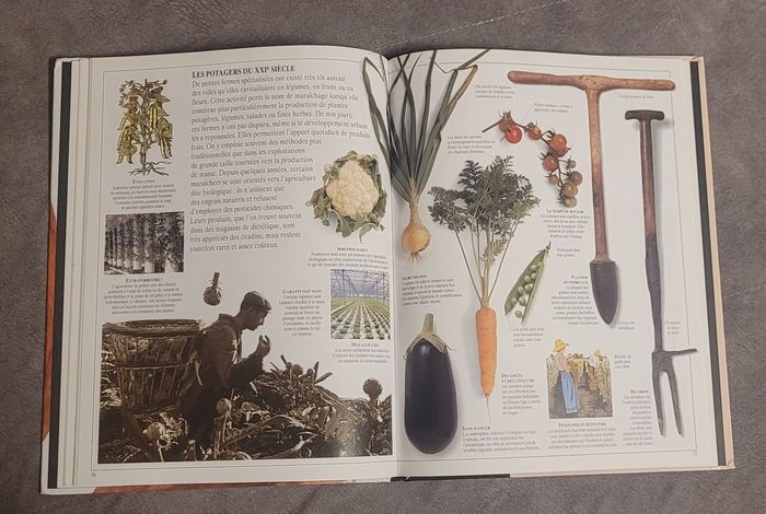 La vie de la ferme Ned Halley - photo numéro 4