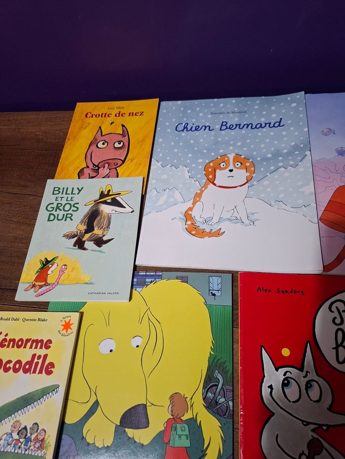 Lot de 12 albums livres l École des Loisirs - photo numéro 2