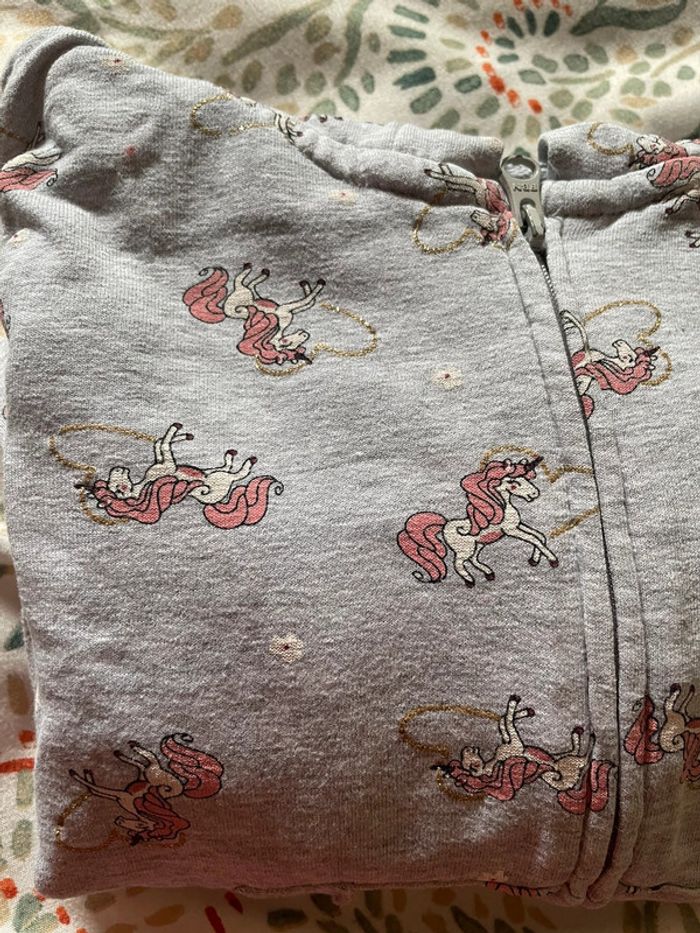 Gilet zip capuche 4 ans - photo numéro 2