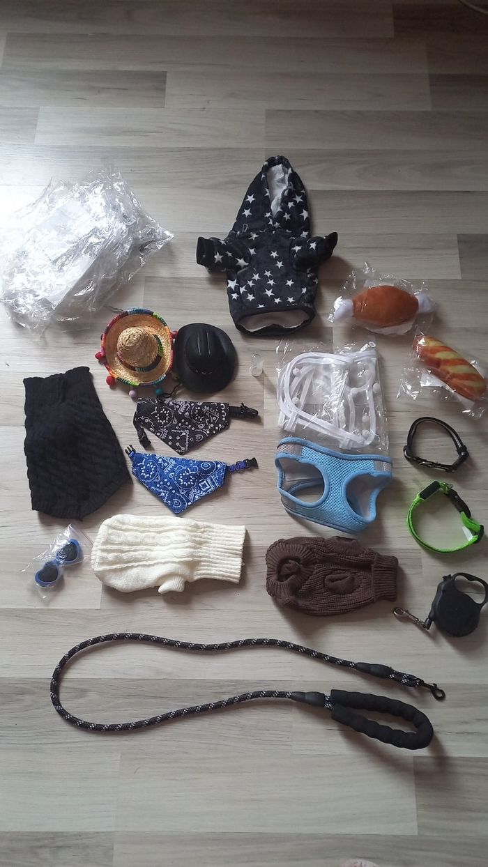 Accessoires pour bébé chiot