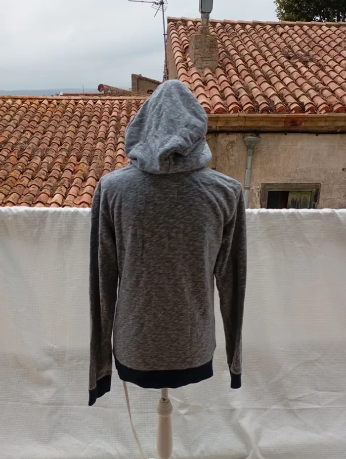 Sweat à capuche Bizzbee - photo numéro 2