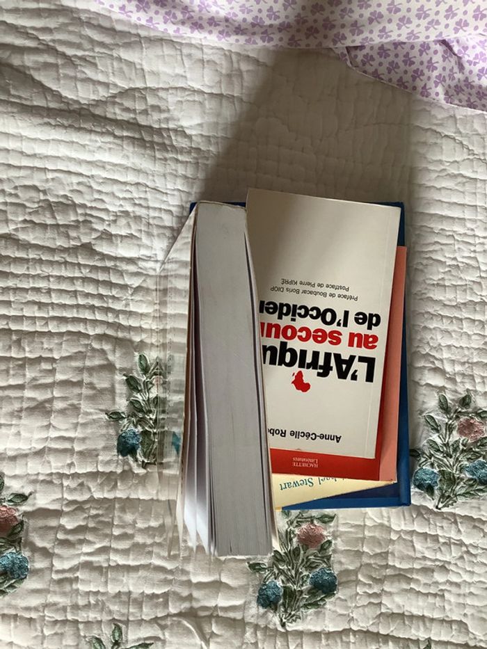 Économie politique de l’Afrique contemporaine - photo numéro 12