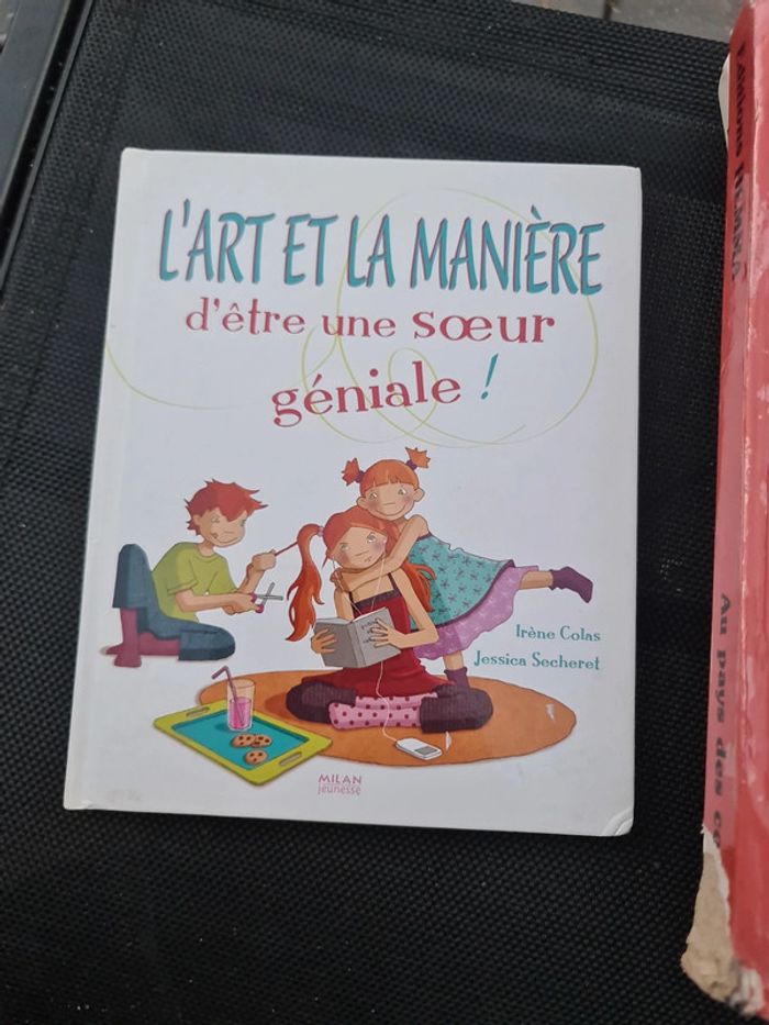 Livre l art et la manière d être une sœur geniale