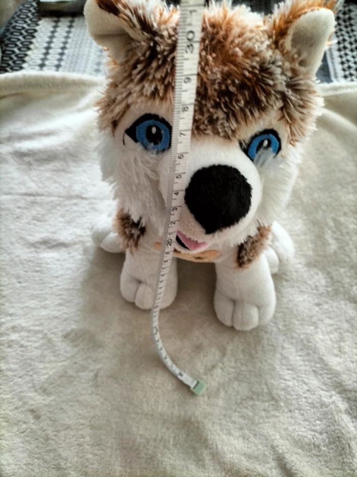 Chien loup  marron et blanc - photo numéro 6