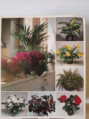 Classeur  soins des plantes c