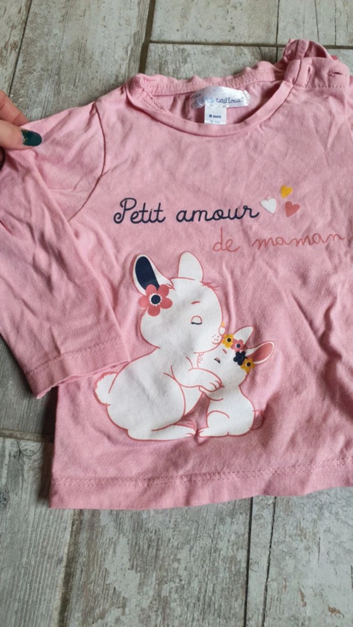 T-shirt mes petits Cailloux 18 mois en très bon état - photo numéro 3