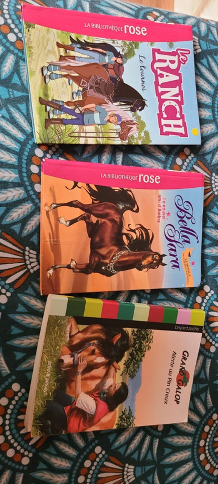 Lot de 3 romans thème chevaux