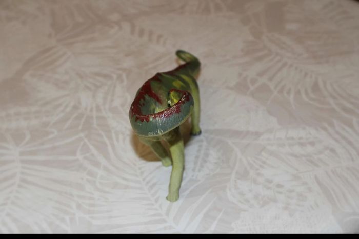 dinosaure diplodocus - photo numéro 2