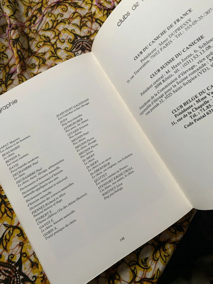 Le caniche - photo numéro 11