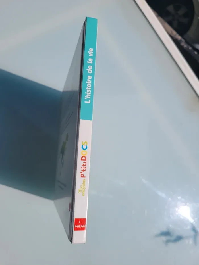 Mes encyclos P'tits Docs, grand format 📜 L'Histoire de la vie, du big bang jusqu'à toi🗿 - photo numéro 9