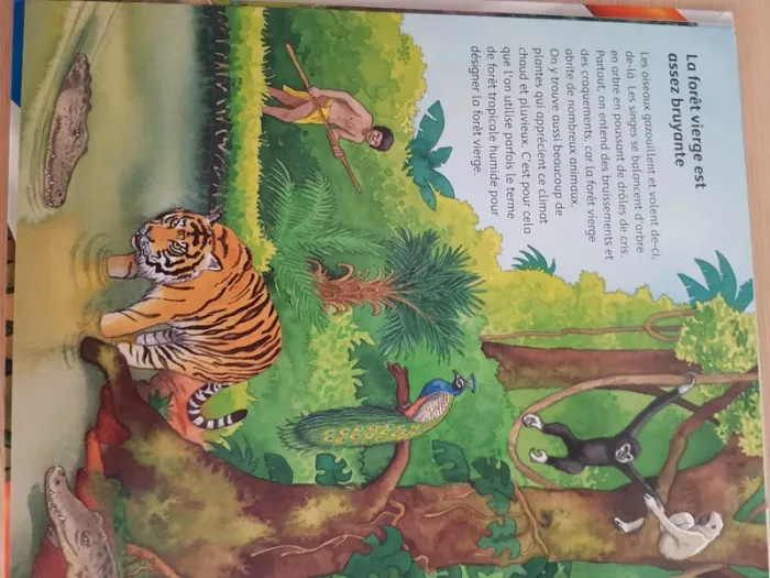Ravensburger livre tiptoi le grand imagier des animaux - photo numéro 4