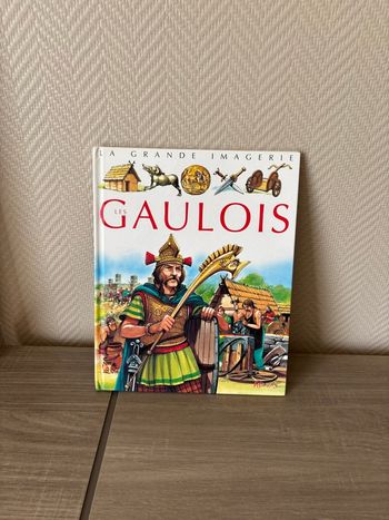 Livre les gaulois