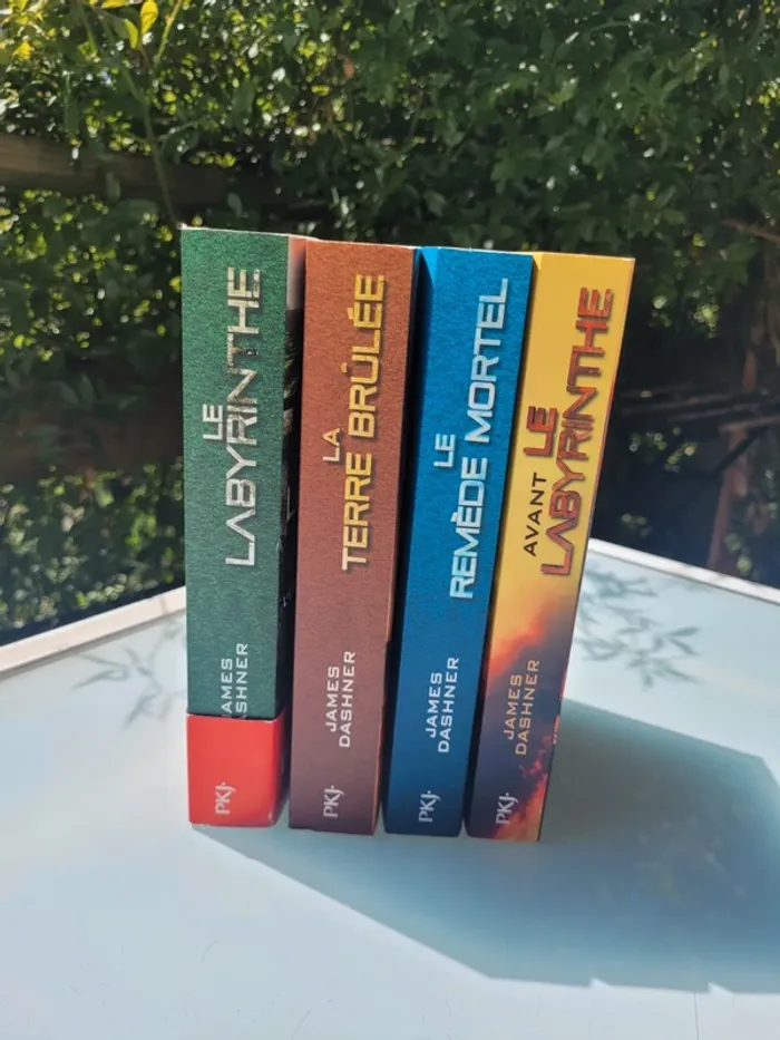 4 Premier romans grands formats de la saga Le Labyrinthe : Livres 1, 2, 3 et 4 - photo numéro 3