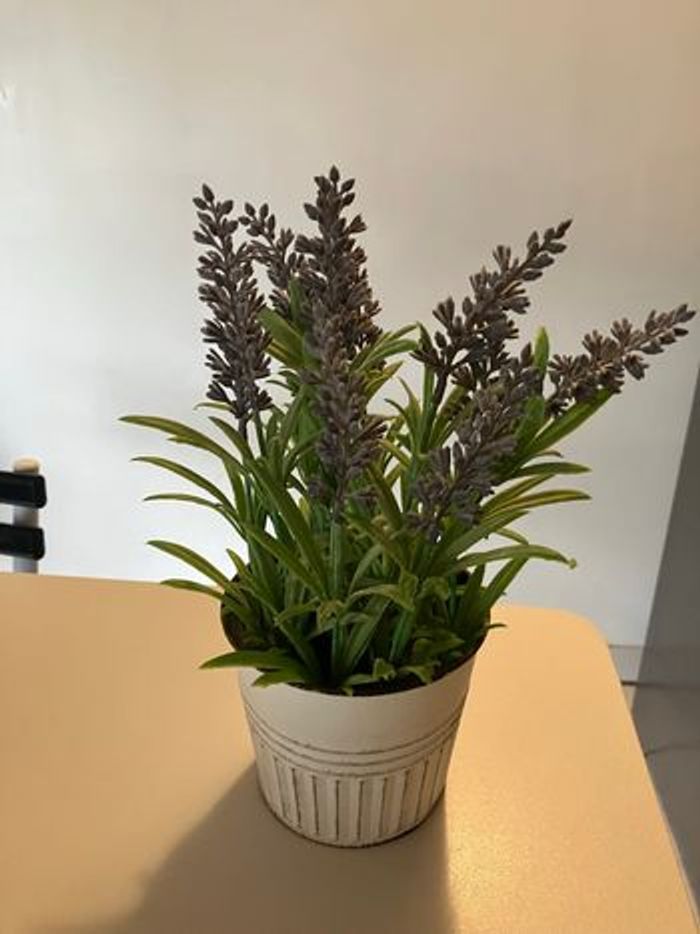 Plante lavande artificiel - photo numéro 3