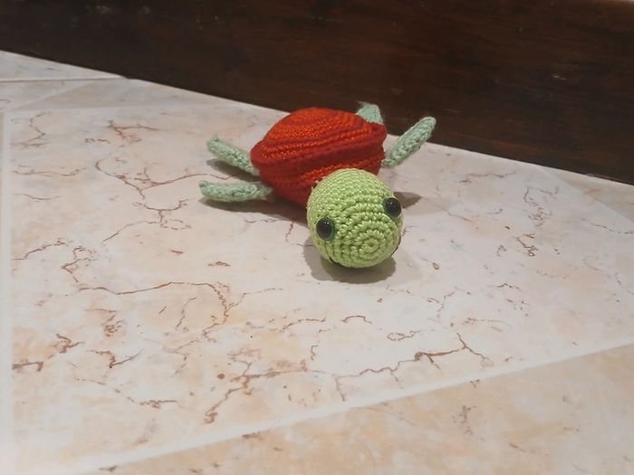 Tortue carapace rouge