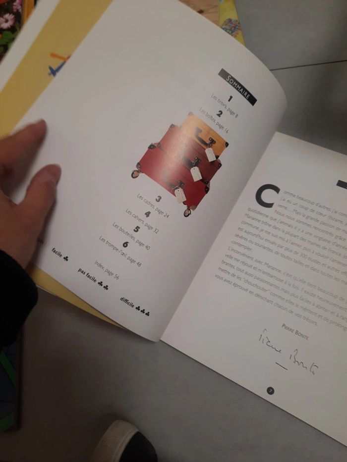 Lot livre activités manuelles - photo numéro 13