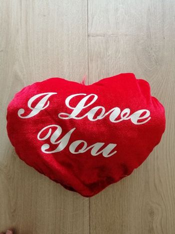 Coussin coeur I love you en très bon état