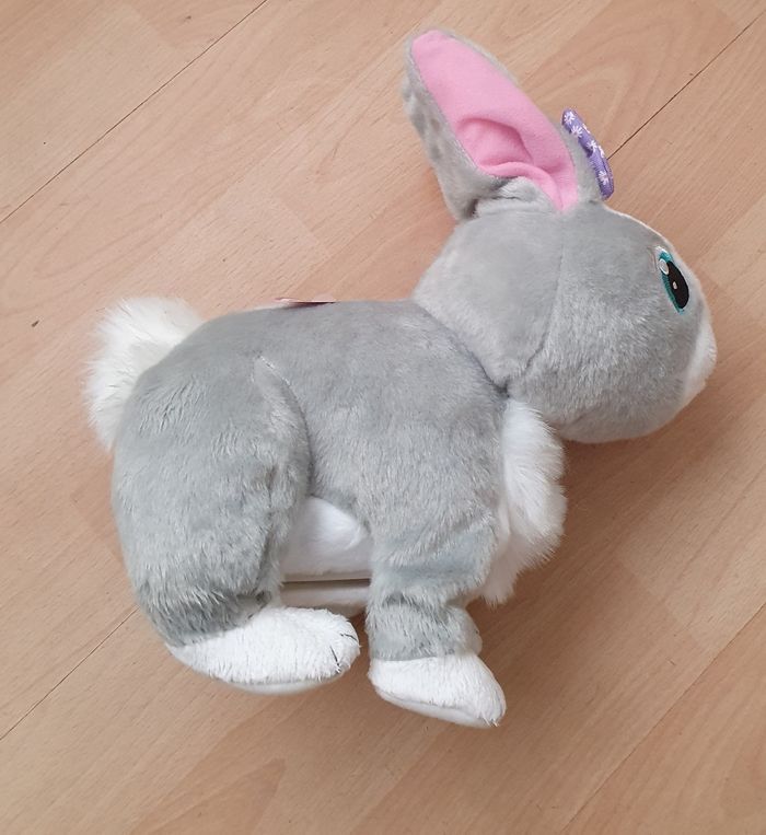 Lapin - photo numéro 3