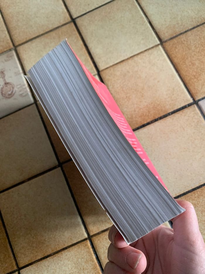 L aîné - photo numéro 4