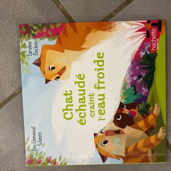 Chat echaude craint l’eau froide