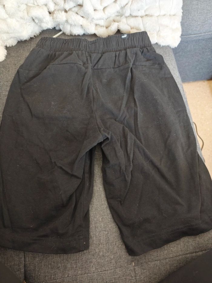 Short puma - photo numéro 5