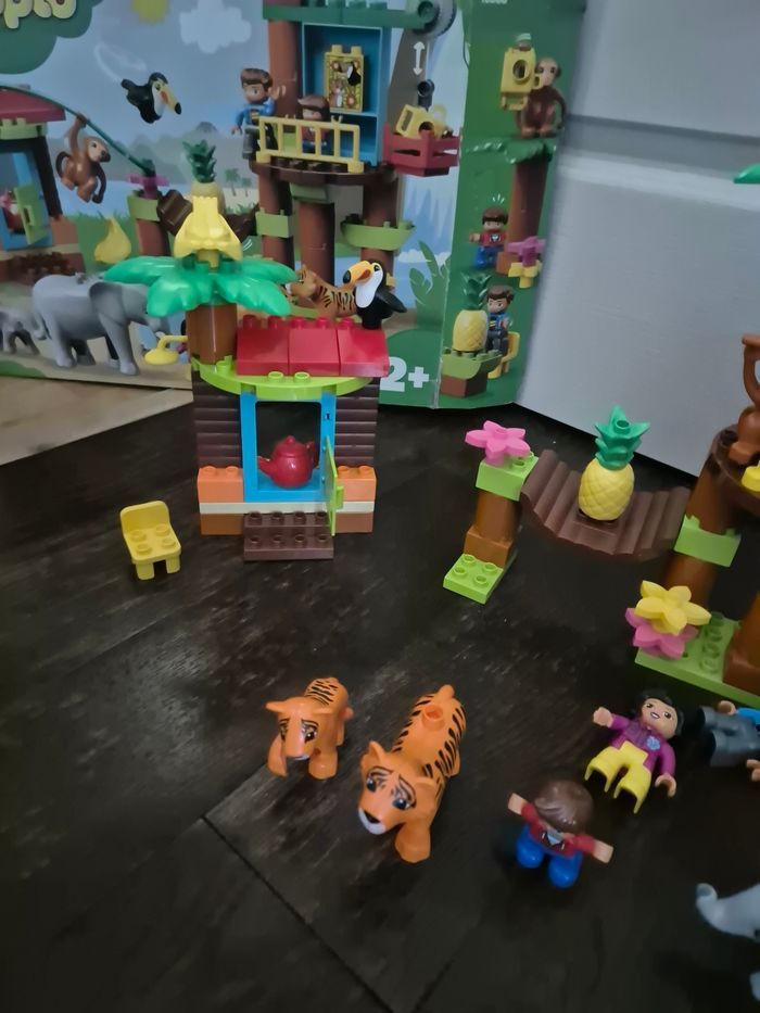 Foret tropicale jungle duplo - photo numéro 4