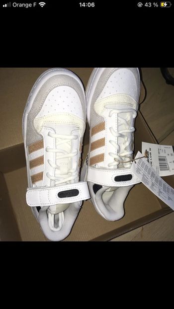 Basket Adidas