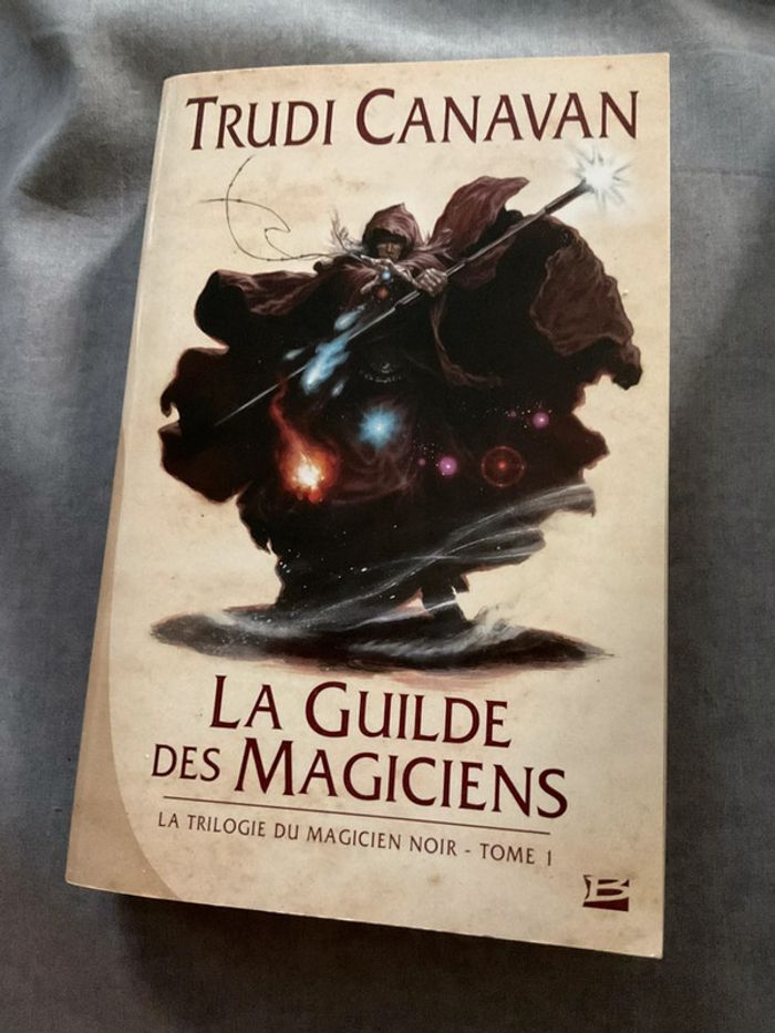 #la guilde des magiciens Trudi Canavan - photo numéro 2