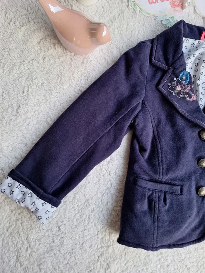 Blaser marine - photo numéro 6