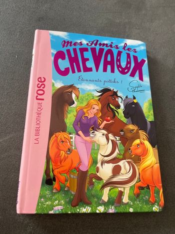 Livre bibliothèque rose mes amis les chevaux tome 43