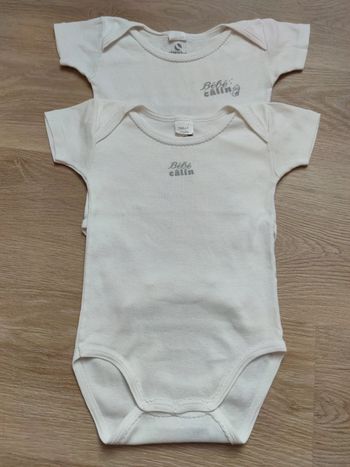 Lot de 2 bodies 18 mois manches courtes