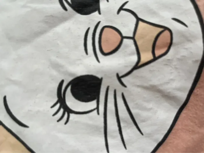 Pyjama marie aristochats 10 ans - photo numéro 3