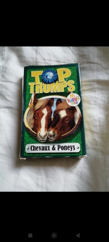 Jeu chevaux et poney