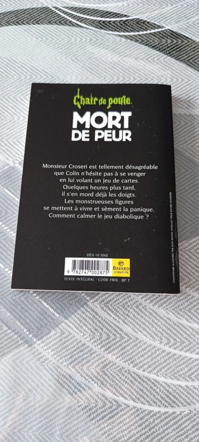 Livre chair de poule - photo numéro 2