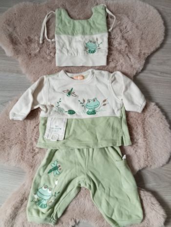 Jogging grenouille 🐸