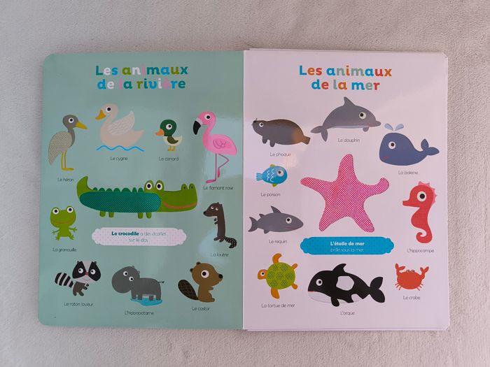 Livre Mes premiers mots à toucher Auzou - photo numéro 6